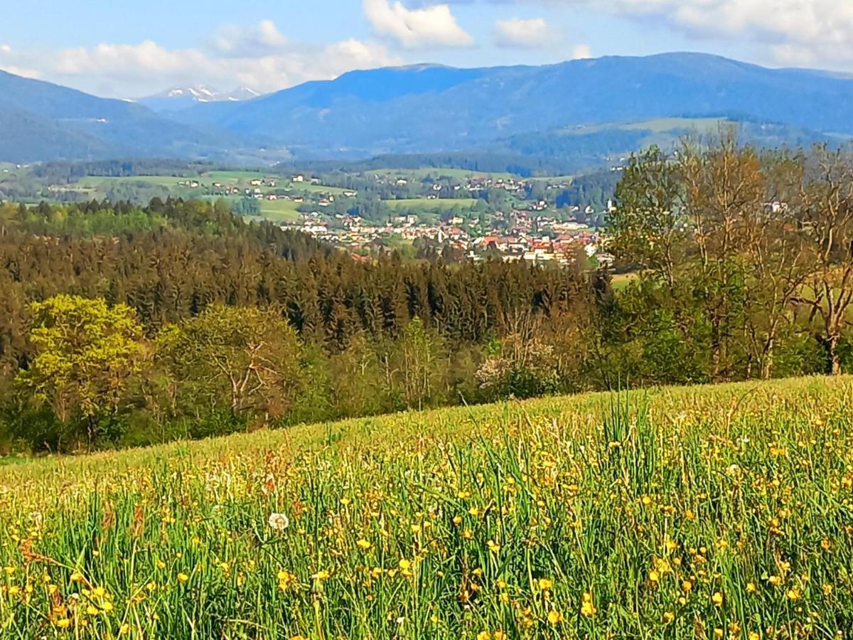 Ferienhaus Kaerntnergmiat Feldkirchen in Kärnten Zewnętrze zdjęcie